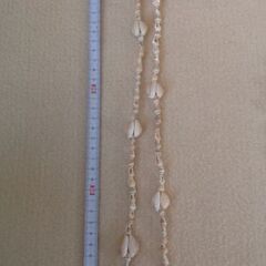 HAWAII 貝殻でできたレイの画像