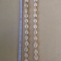 HAWAII 貝殻でできたレイの画像