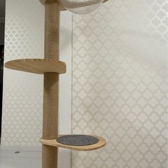 譲ります。猫タワーの画像