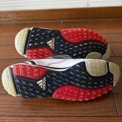 ゴルフシューズの画像