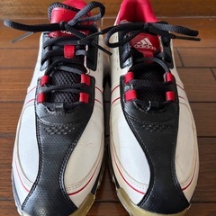 ゴルフシューズの画像