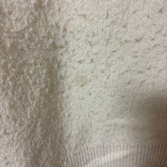 レディース
ニットの画像