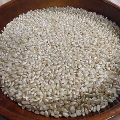 【新米】令和7年産ヒノヒカリ玄米30キロの画像