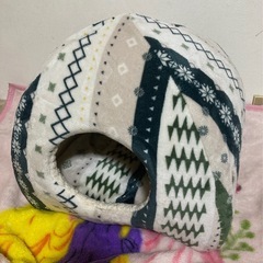 決まりました！ペットハウス　小型犬　猫の画像