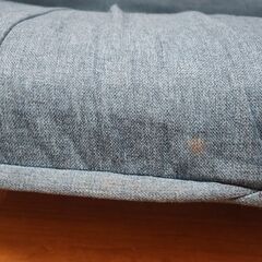 使用感あり ニトリのソファーの画像