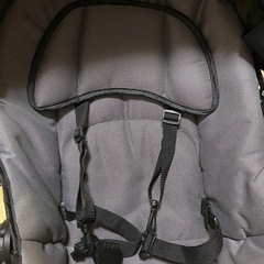 バウンザーの画像