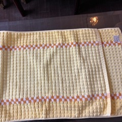 商談中‼️
ペットの足拭きなどにいかがですか⁉️バスマットの画像