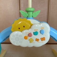 プーメリーの画像