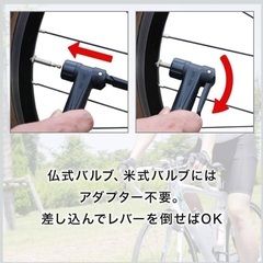パナレーサー(Panaracer) 自転車 空気入れ 空気圧計付 樹脂製の画像