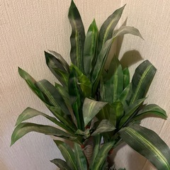 フェイクグリーンユッカ高さ110cmの画像