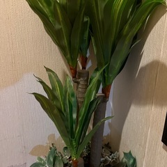 フェイクグリーンユッカ高さ110cmの画像