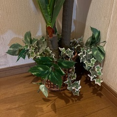 フェイクグリーンユッカ高さ110cmの画像