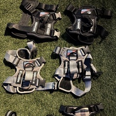 犬用品まとめ売り　給水ボトル、ハーネスなどなど約24点　多頭飼い対応の画像