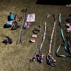 犬用品まとめ売り　給水ボトル、ハーネスなどなど約24点　多頭飼い対応の画像