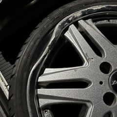 タナベ SSR ヴェナノーブルの画像