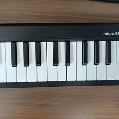 【美品】KORG microKEY 2-61の画像