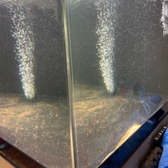 1200アクリル水槽セット【引き取り限定】の画像