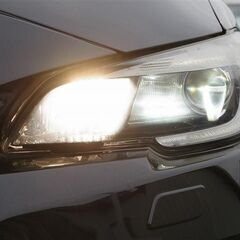 スバリスト集まれ～ビルシュタイン入ってますよ！【自社ローン】の画像