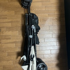 おでかけアルミバギー　バースデイ　テータテートの画像