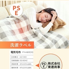 新品　箱入り　電熱毛布　電気毛布の画像