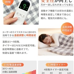 新品　箱入り　電熱毛布　電気毛布の画像