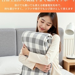 新品　箱入り　電熱毛布　電気毛布の画像