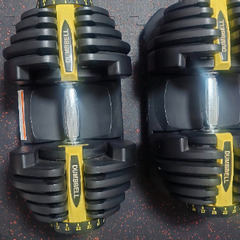 (中古)可変式ダンベル40kg×2個セット 取りに来てくれる方限定で格安で譲ります。の画像