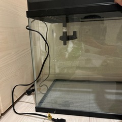 NISSO 水槽の画像