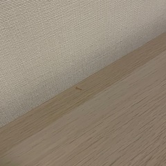 IKEA デスク LINNMON / OLOV
の画像