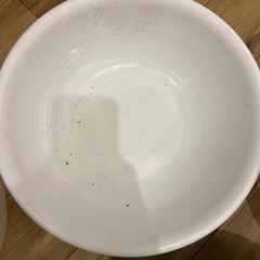 ざると桶の画像