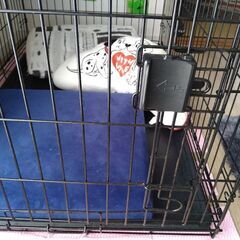 16日の日曜日、15時〜18時まで限定!!ペットサークル　ドックサークル　小型犬〜大型犬の画像