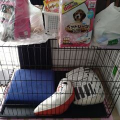 16日の日曜日、15時〜18時まで限定!!ペットサークル　ドックサークル　小型犬〜大型犬の画像