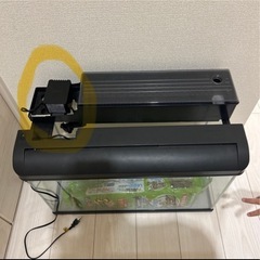 NISSO 水槽の画像