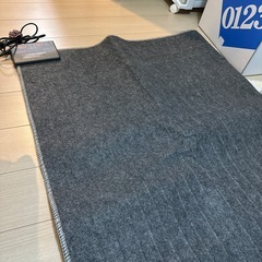 ホットカーペット テクノス　TCW-2050MK  2畳用　176×176 の画像