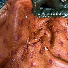 ⑩カラフルリュック　の画像