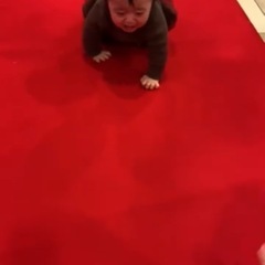 ハイハイかけっこ大会❣️参加者募集❣️ - 八代市