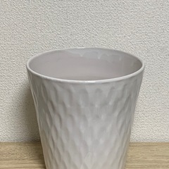 鉢　1鉢500円の画像