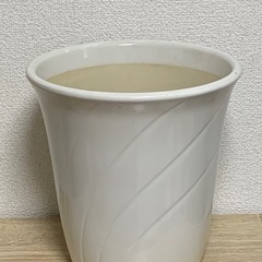 鉢　1鉢500円の画像