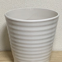 鉢　1鉢500円の画像