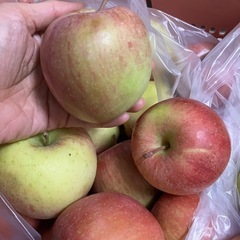 【受付終了】りんご　激安！　　の画像