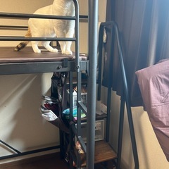 ロフトベッドの画像