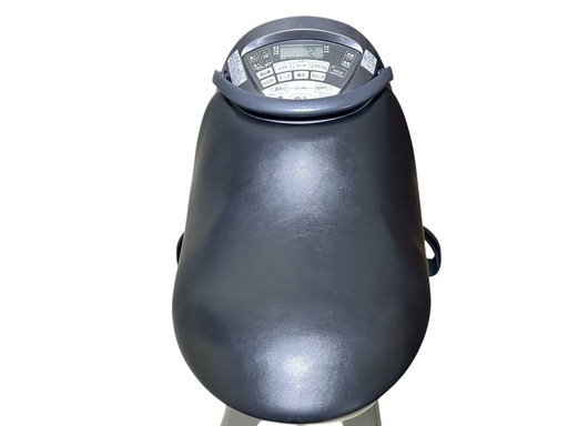 Panasonic 乗馬フィットネス機器 EU-JA50 ?✨