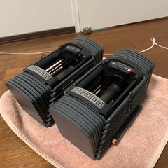 ダンベル、ベンチ、懸垂マシンの画像