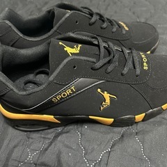 バスケットシューズ買ったまま未使用！の画像