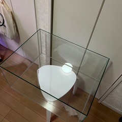 【60cmワイド】フレームレス水槽の画像