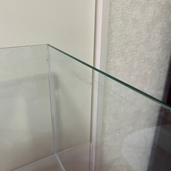 【60cmワイド】フレームレス水槽の画像