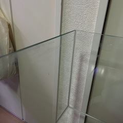 【60cmワイド】フレームレス水槽の画像