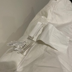 でかいクッション　ZARA HOMEの画像