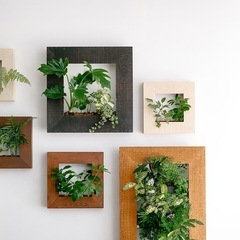 インテリアのアクセントに◎【Rigna】マイギャラリー M & フェイクグリーン (チーク)の画像