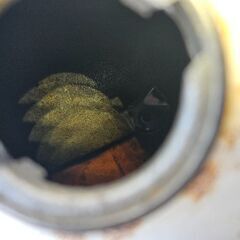 引取希望　モンキー　4L　実働の画像